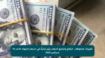تغيرات ملحوظة.. ارتفاع وتراجع الدولار يثير تباينًا في أسعار البنوك الأحد 14 سبتمبر 2025